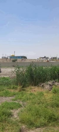 يوجد 4دونم التاجي منطقة الشيخ عامر يم مرقد بنات الحسن سعرالدونم 21وبي ...