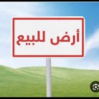 حي المعلمين • هيت الأنبار • ٢٥٠م