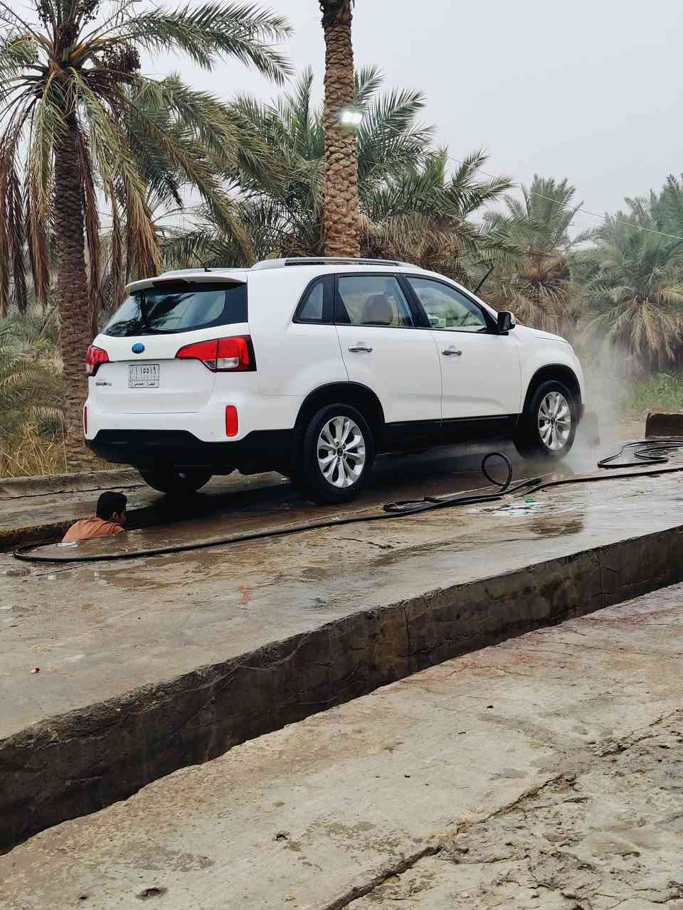 سلام عليكم سورنتو 14 خليجي مكفوله من الصبغ والضربه موصفات نص فول 4 اسلندر تحكم ستيرن 3 قطع تبريد سويج عدد 2  7راكب تخم تاير جديد باتري جديد لايت زنون ويل 18 خمسه ويل كب  مرايات شفط حساسات امامي خلفي سياره كارتوت دوشمه جديده  بسمي رقم بصرة مشروع وطني  السعر 175 او بيها مجال قليل المكان قضاء المدينه بني منصور  للاستفسار***********
