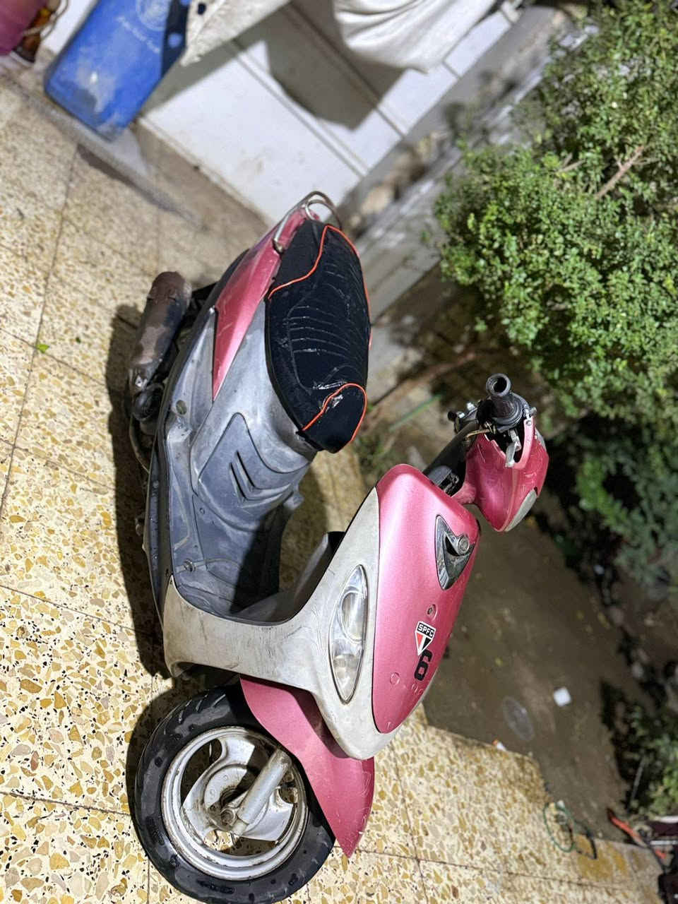 السلام عليكم شباب 

دراجه ماكس منغولي مكينه ممفتوحه مكينتهه مداريهه دهن كل سبوع مكفوله من كلشي أخو شادلهه كفر بلادي الوردي 
وكفرهه للبلادي رصاصي ختم واحد ويا المكينه 

يعني وياهه كفرات ثنين بلاديات 

كهربائيات شغاله كلهه 

قفل جنطه شغال 

قفل ستيرن شغال 
دراجه جديده بمعنى الكلمه 

تايرات جدد 

اخوان الدراجه ربع متذب عليهه 

بريكات ثنينهن شغالات 

نكره سلف هندر شغال 

كله مكفوله 

السعر 400 وبيه مجال قليل 

العنوان بغداد البياع سويب 

متواجد على النت 

رقم الواتس اب ***********فقط واتساب 

رقم الاتصال ***********فقط اتصال
