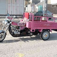 ستوته • دوانيه • اوراق اصولي