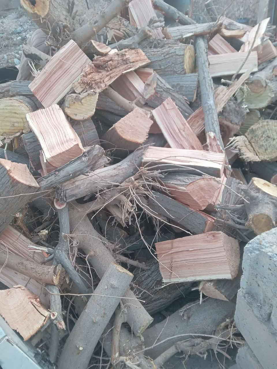 يوجد حطب توث ومشمش ناشف وبي اخضر وبي مشرح العنوان هيت حي البكر قرب مدرسة القاهره هاتف ***********
