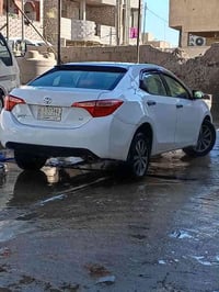 عيني كوريلا 2018 ماشيه 75 لون ابيض LE رقم انبار تحويل ثاني يوم السعر ا...