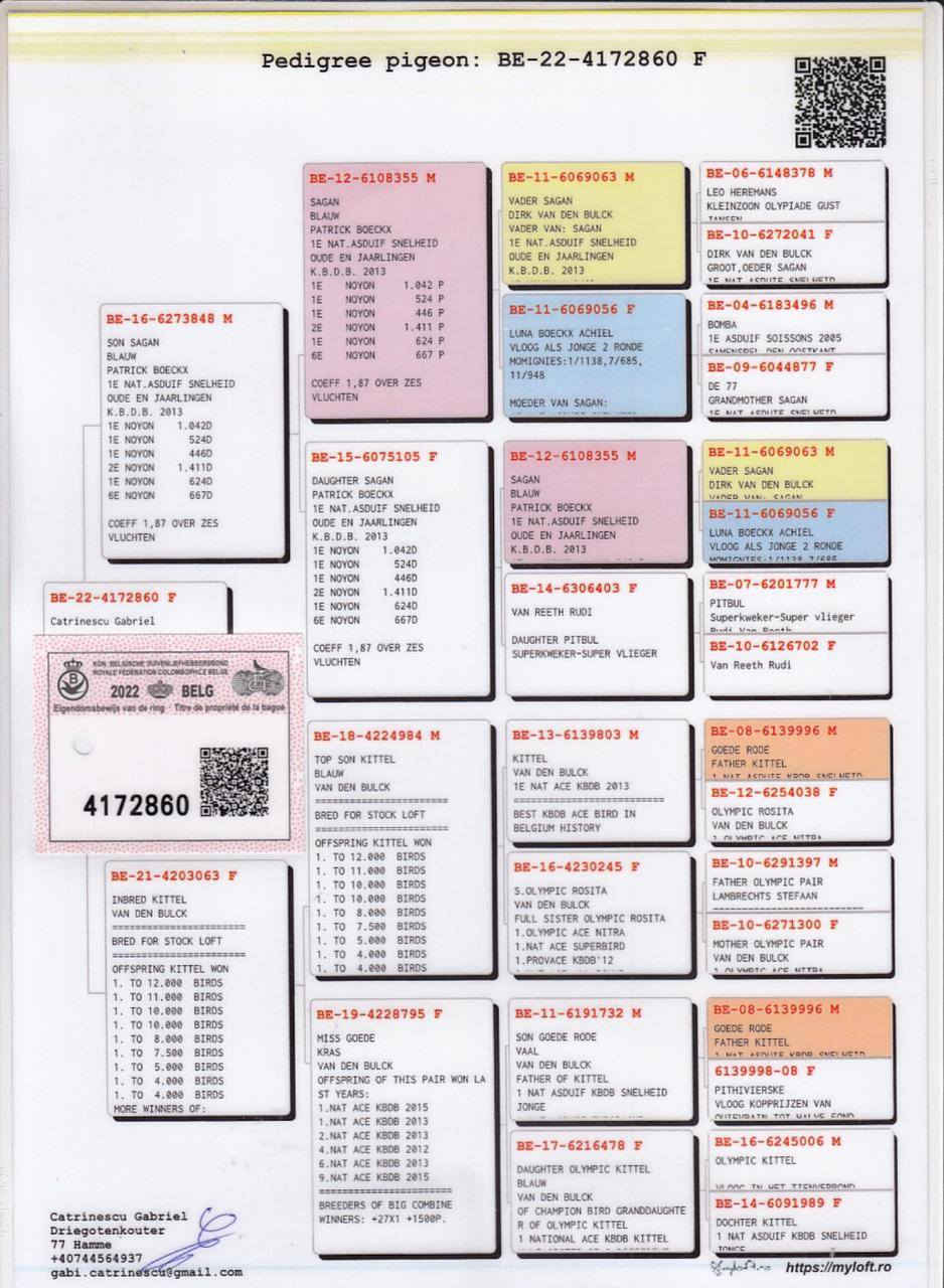 طيره حفيدة الساكان مباشر ( السعر 500 دولار )
ومن جوه حفيدة الكتل + البست كتل 
طيره جميله ودخول جديد 
*********** _ ***********
