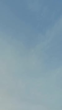 هوندا • ٢٠٢١ • ورقة واحد