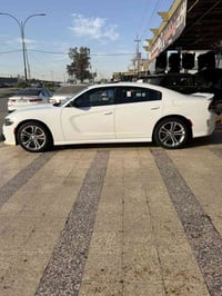 جيتي بلص • ٢٠١٩ • رقم اربيل