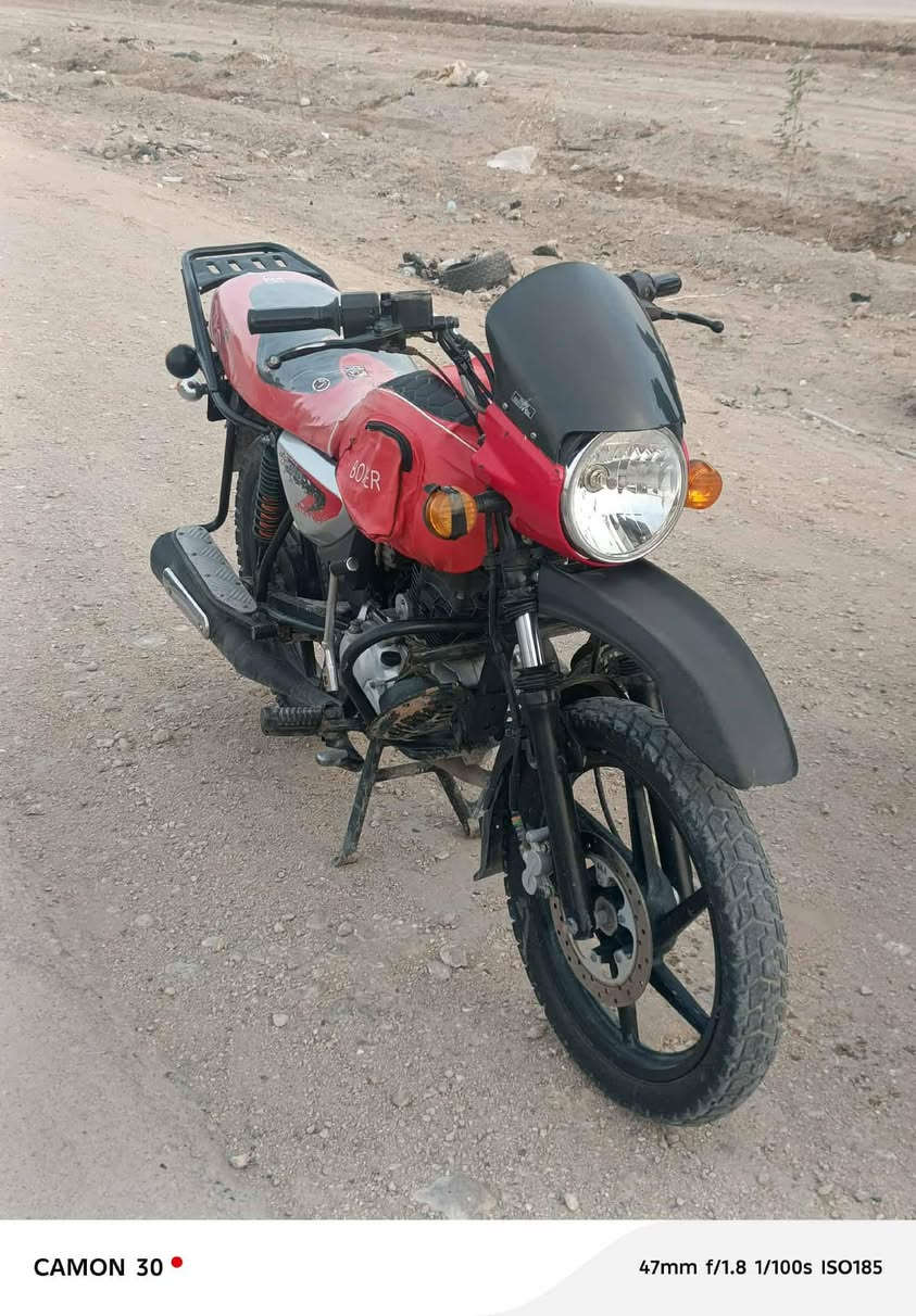 بوكسر 20جبلي اوراق اصولي
مكاني بابل ***********
