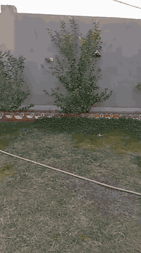 سلام عليكم دونم للبيع بي بناء 3ابيوت
في التاجي ام العظام 
السعر 700مليون 
الاستفسار اتصال برقم 
***********
***********
