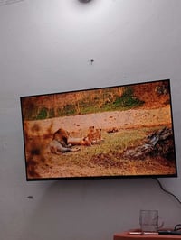 البيع بسعر مناسب ورافع ابو 5 شغالات ثنينهم 07711312670هذا راقمي