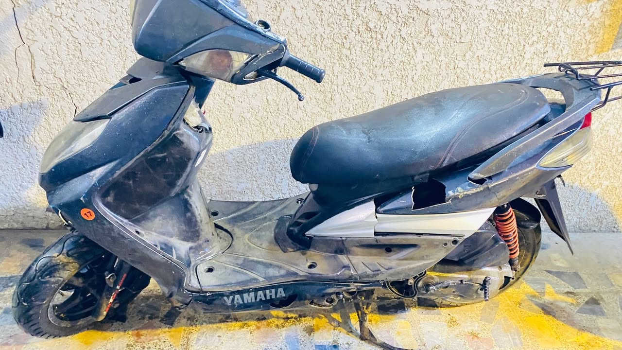 سكنس فحل للبيع السعر 350
بغداد بلديات ‭0770 586 7649‬
