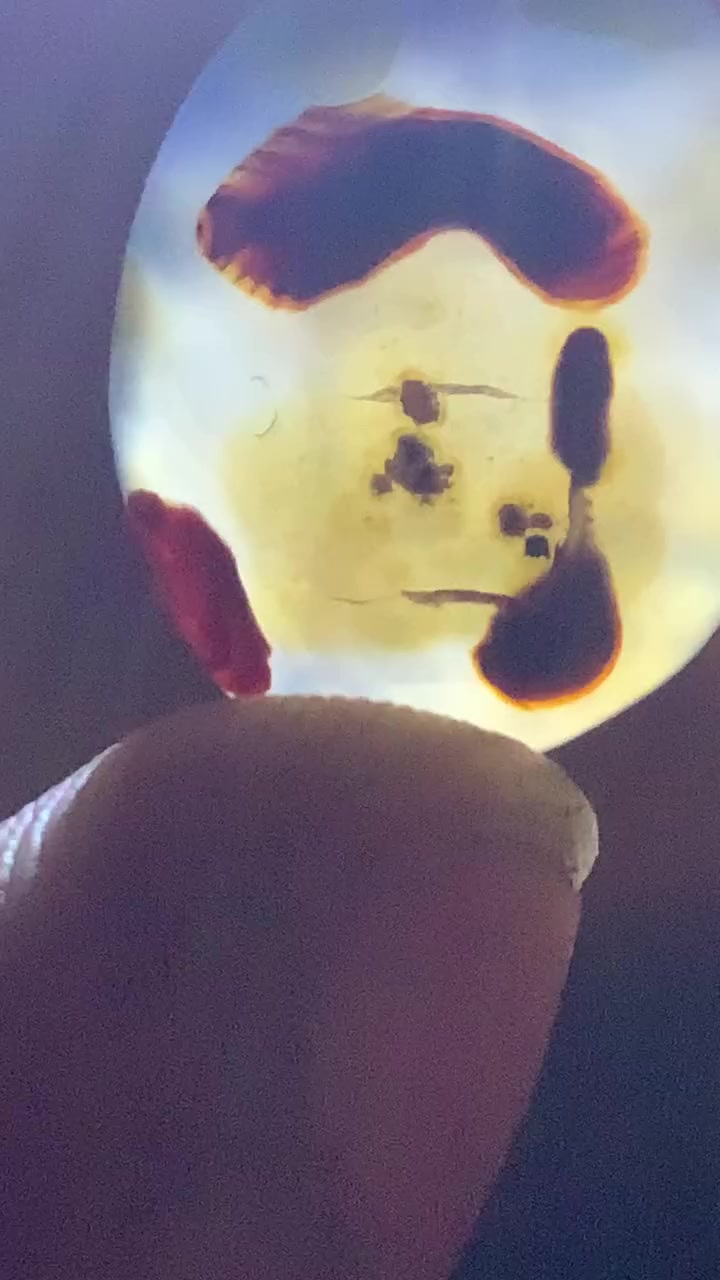 السلام عليكم عندي حجار عقيق يماني مزهر ومصور تصويرهم واضح  56 قطعه  لي يريدهن جمله حسب القطعه عل 3 الف دينار


**إذا كنت صاحب هذا الإعلان وتريد حذفه لأي سبب، رجاءا أرسل رسالة إلى الدعم الفني**