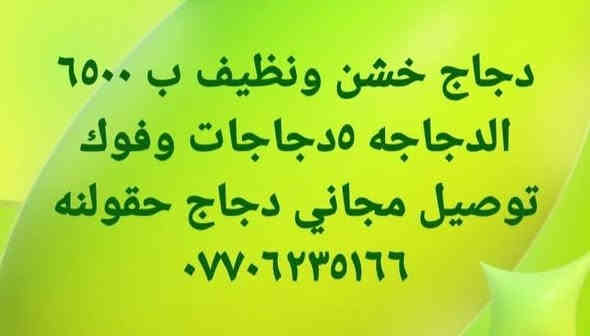 ٦٥٠٠ سعر الدجاجه ٥دجاجات وفوك توصيل مجاني ***********
