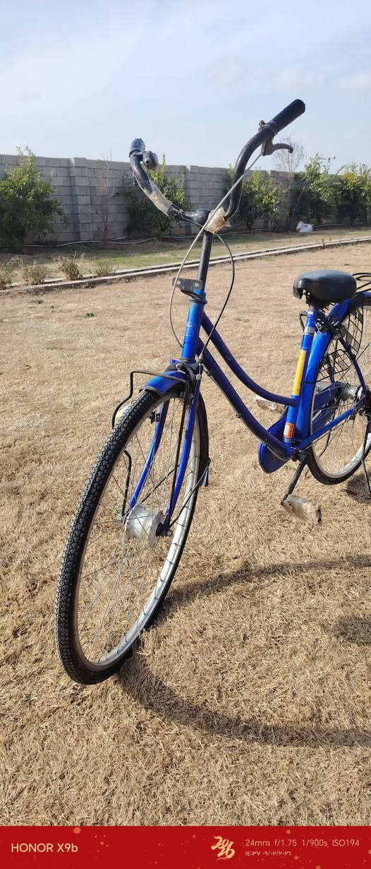 سلام عليكم ورحمة الله وبركاتة بايسكل للبيع نضيف جدن كامل بريكات تايرات جدد السعر 125
وبي مجال التصال للستفسار ***********
