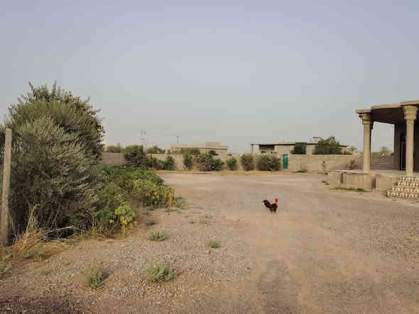 السلام عليكم بيت للبيع طابو زراعي  مساحة البيت ١٩٠متر والكاع نص دونم بين الخزاميه وسمره على طريق الرشيديه السعر ٤٥ اي استفسار اتصل ***********
