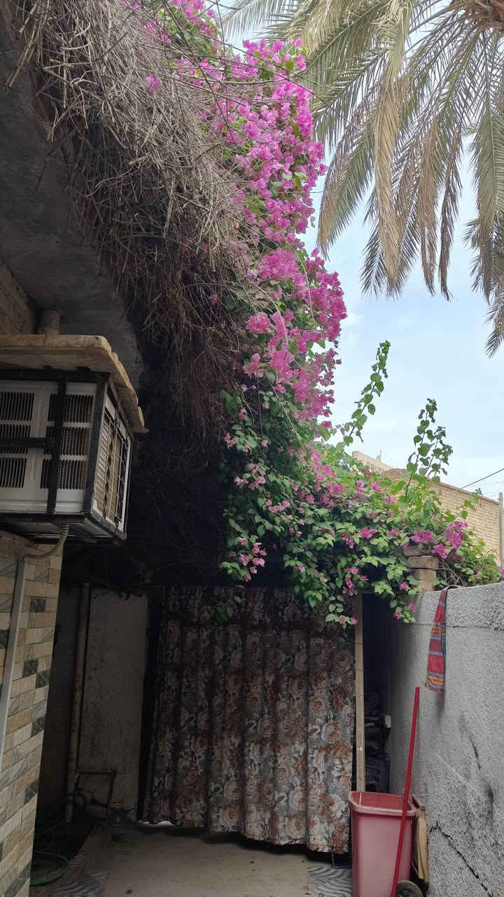 سلام عليكم .... بيت للبيع طابو صرف مساحته 150 طابقين متر بالسدة بالولاية قريب السوك ع شارع العام 
محتويات الطابق الاول صالة واستقبال وغرفه نوم ومطبخ حار و بارد وترك خلفي
الطابق الثاني غرفتين نوم مع مجموعة صحية
بناء حديث 
للاستفسار والاتصال على الرقم
*********** ابو حمزة
