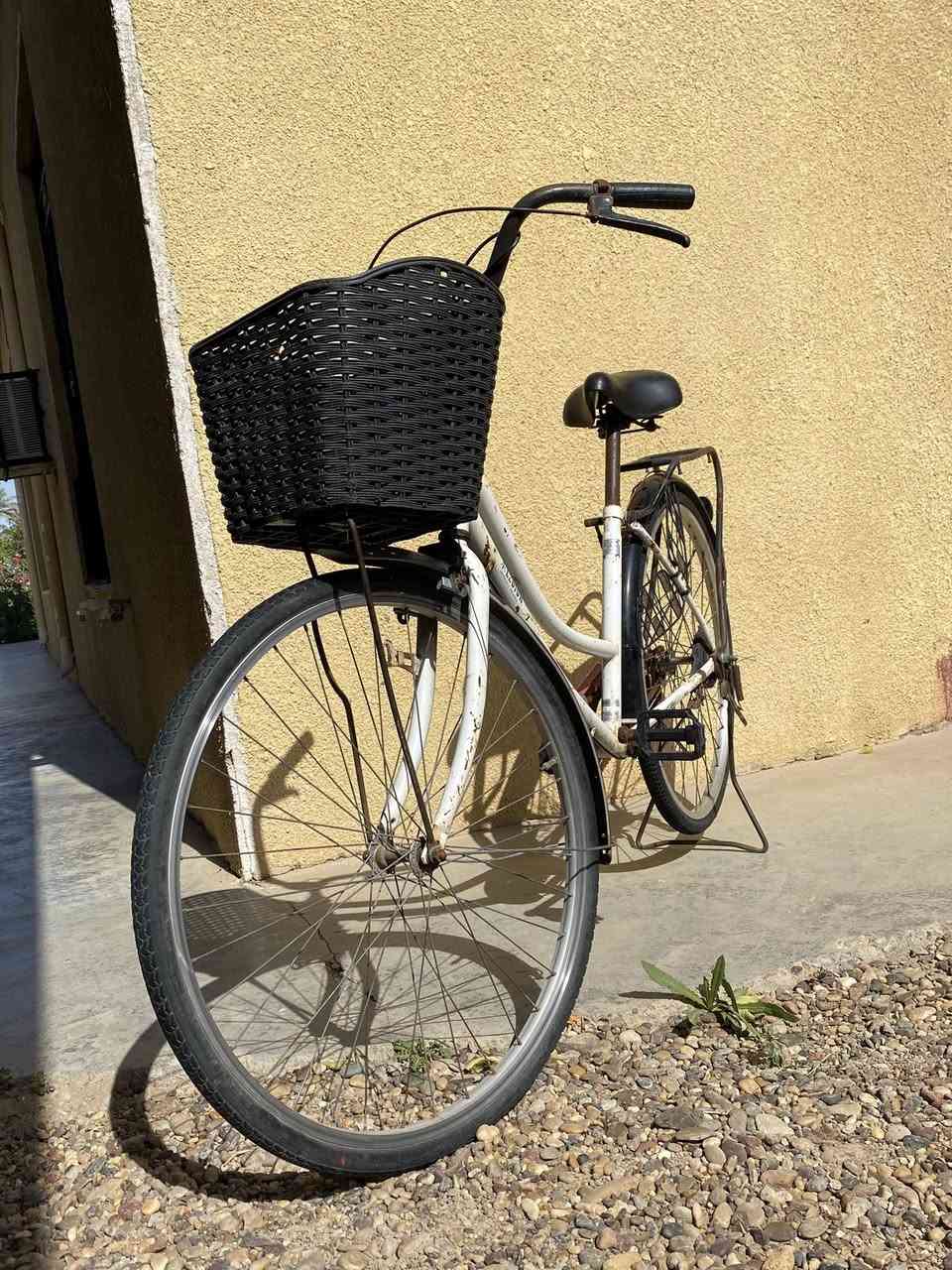 سلام عليكم بايسكل للبيع السعر 65 وبي مجال الرقم للاستفسار ***********
