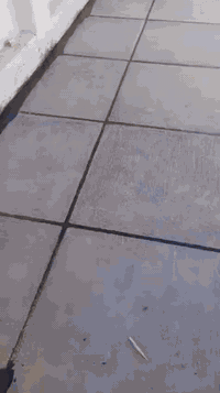 بغداد • ستيكر أصلي • ضمان جودة