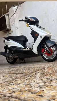 خوان دراجة سكنس فحل دراجة خير من اللة شلعة ومعدل مكانهة بغداد حي جهاد ...