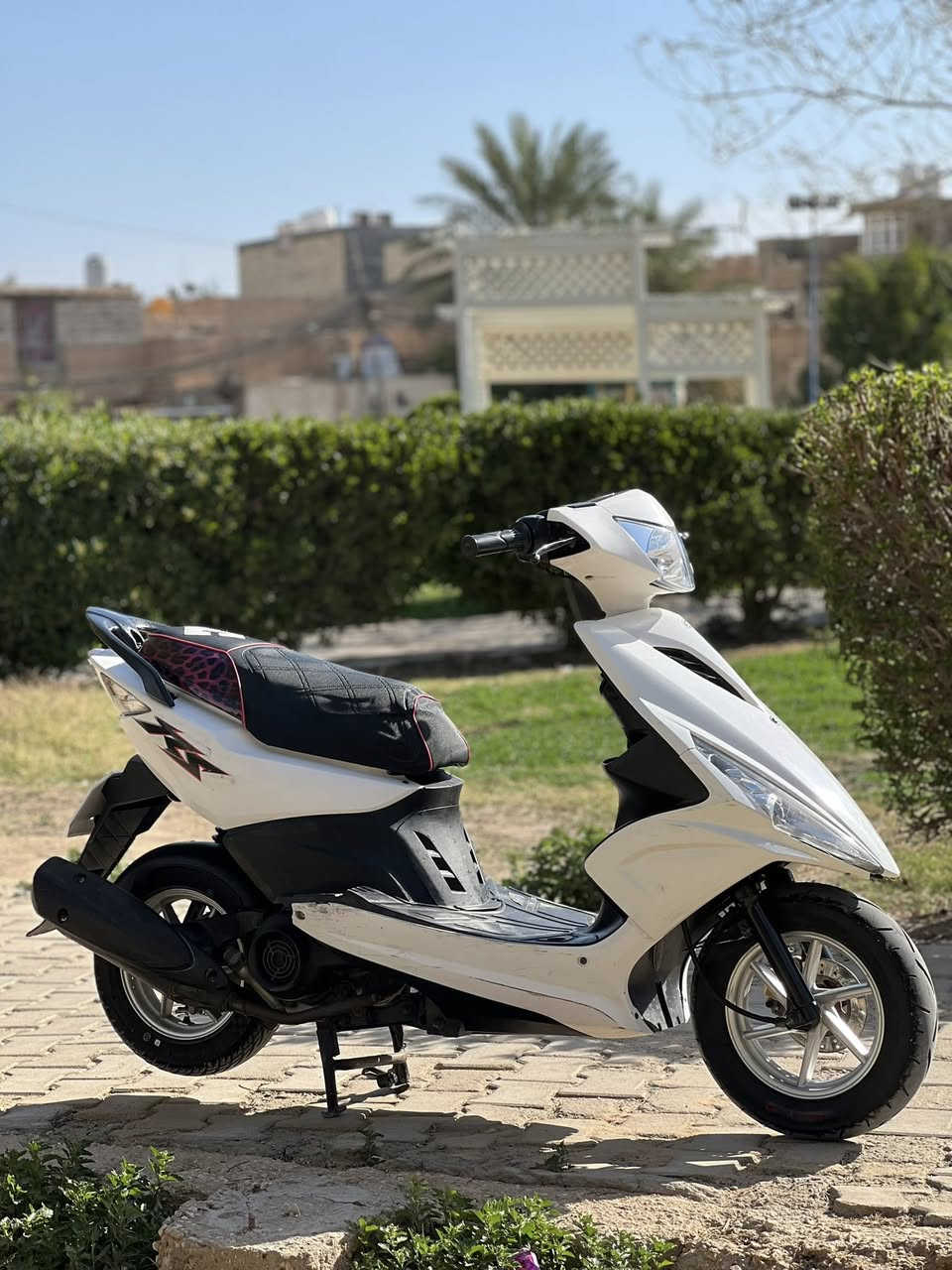 سلام عليكم شباب
⭕️للبيع فقط ماكس مضلع الدراجه رمبه طلعته قبل الاربعينه ب 3 ايام مكينته كلش قويه كلج خلفي رياضي البارحه سويتله ادامه غسل وخرز وفايبرات وكرزته تايرات جديد انه شديتهن ويل رياضي تايوان كشن رياضي لايت LED باتري جديد غراضه كله بلاديه ومختمه شرط الدراجه كله كفاله ماعدا نظافة الكفر 70‎%‎ 
متوازي على بيعته رايده ب 850 وبيه مجال 
مكاني كربلاء المقدسه الحر شارع الكابينات ***********
وشكرا ❤️
@إشارة
