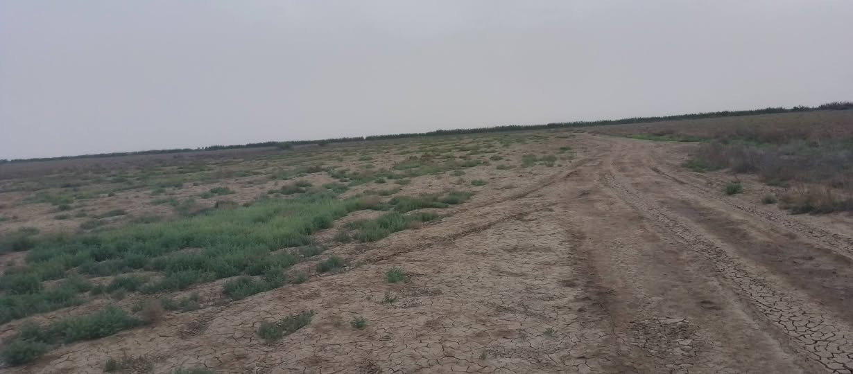 السلام عليكم قطعت أرض زراعيه للبيع  مساحته 20 دونم  صويره على. طريق المطار تبعد عن الشارع كيلو الماء متوفر بيه شتاء وصيف الاستفسار %***********

