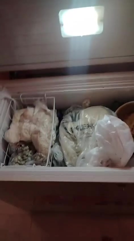 مجمده شرط النضافه حجم وسط السعر175
السماوه الجربوعيه الثانيه


**إذا كنت صاحب هذا الإعلان وتريد حذفه لأي سبب، رجاءا أرسل رسالة إلى الدعم الفني**