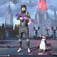 حساب سلوب • مراوس • لوبي متاح