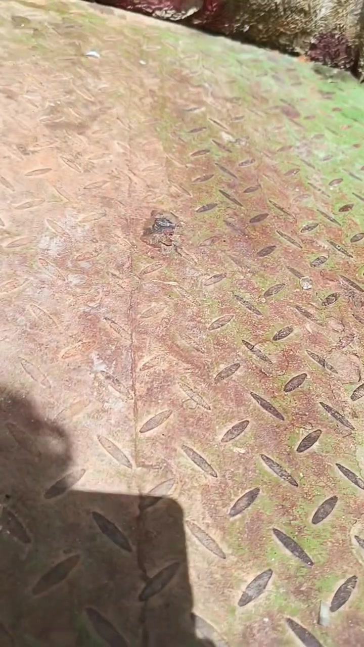 ستوته نضيف حلوه. موديل 2023   سعر 2200 وبيه مجال قليل. والمكان كربلاء.  البراهميه قرب قنات كربلاء.   رقم ***********
