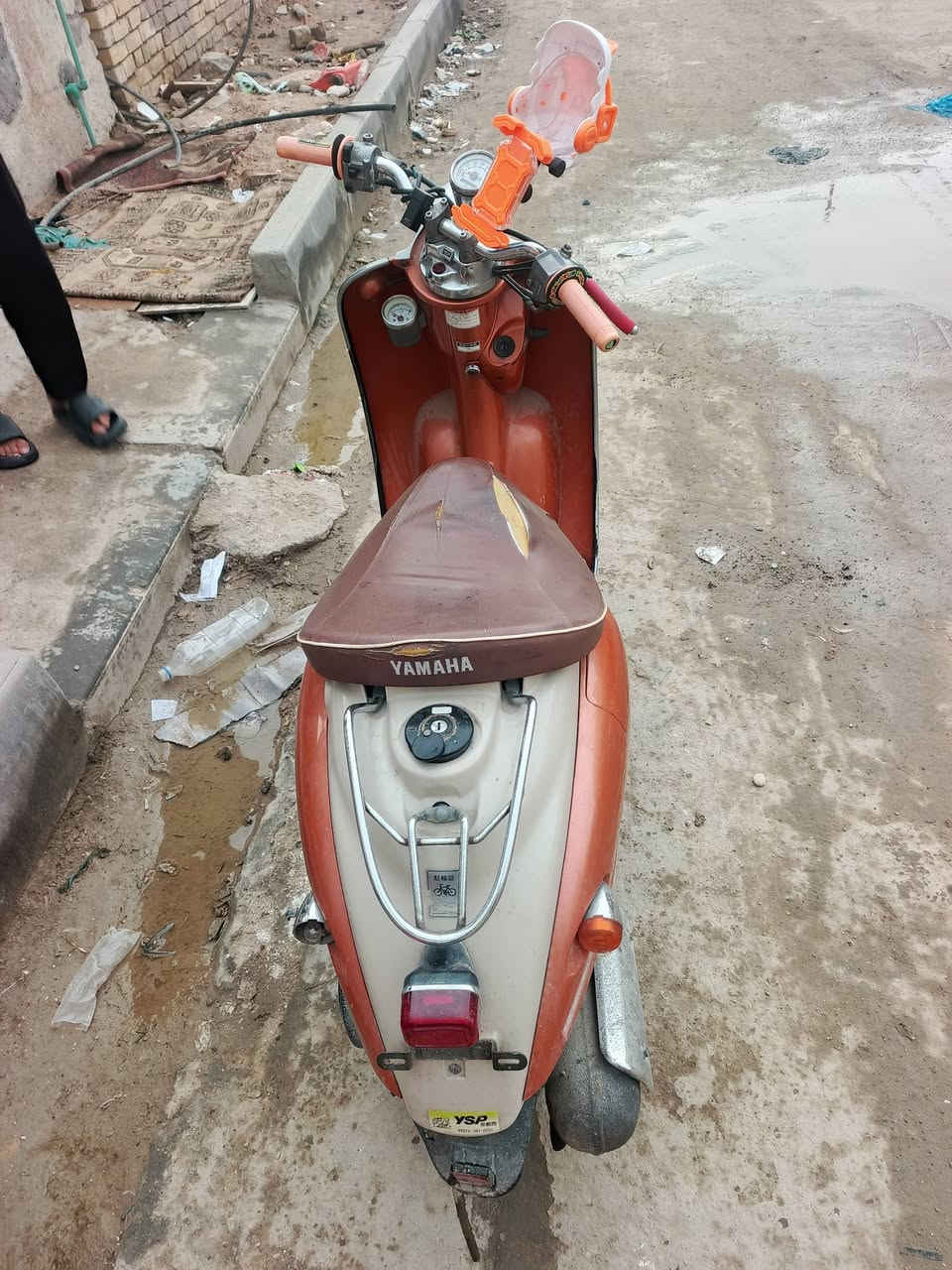 السلام عليكم مصريه فحل السعر 600 حاويه ما مفتوحه مكان الناصريه السريع ***********
