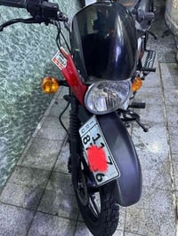 بوكسر جبلي • ٢٠٢٣ • ١٠٠٠٠كم