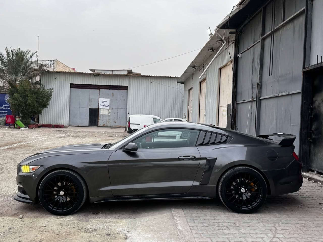 فورد موستانك  2015  V6 3700      
رقم سليمانية  هزة ورقم جديد 2026 
جاهزة  للاخير  تخم ويل وتاير جديد 
صدر جديد اامامي خلفي  
كير محرك كفالة   جديدات 
كهربائيات كلها نظيف
تخم ويل تراك بكج وتايرات جديد  مشلن
الاضافات: 
دعامية cs  اصلية 
جناح شيلبي 
سكوبات  كت كامل 
دفيوزر شيلبي 
 حادث امريكا جاملغ وبنيد  وهنا بيها هم تقريبا قطعتين 
ابيعلك ٤ قطع  تريد تحسبها حزام بكيفك    
ماشية ١١٥ الف 
 كلشي بيها جديد  لحد يقارنها   بالرادلهن مصرف 
سعرها  138 ورقة  مكانها بزيونة وهذا رقمي *********** سجاد الخفاجي بغداد, العراق

