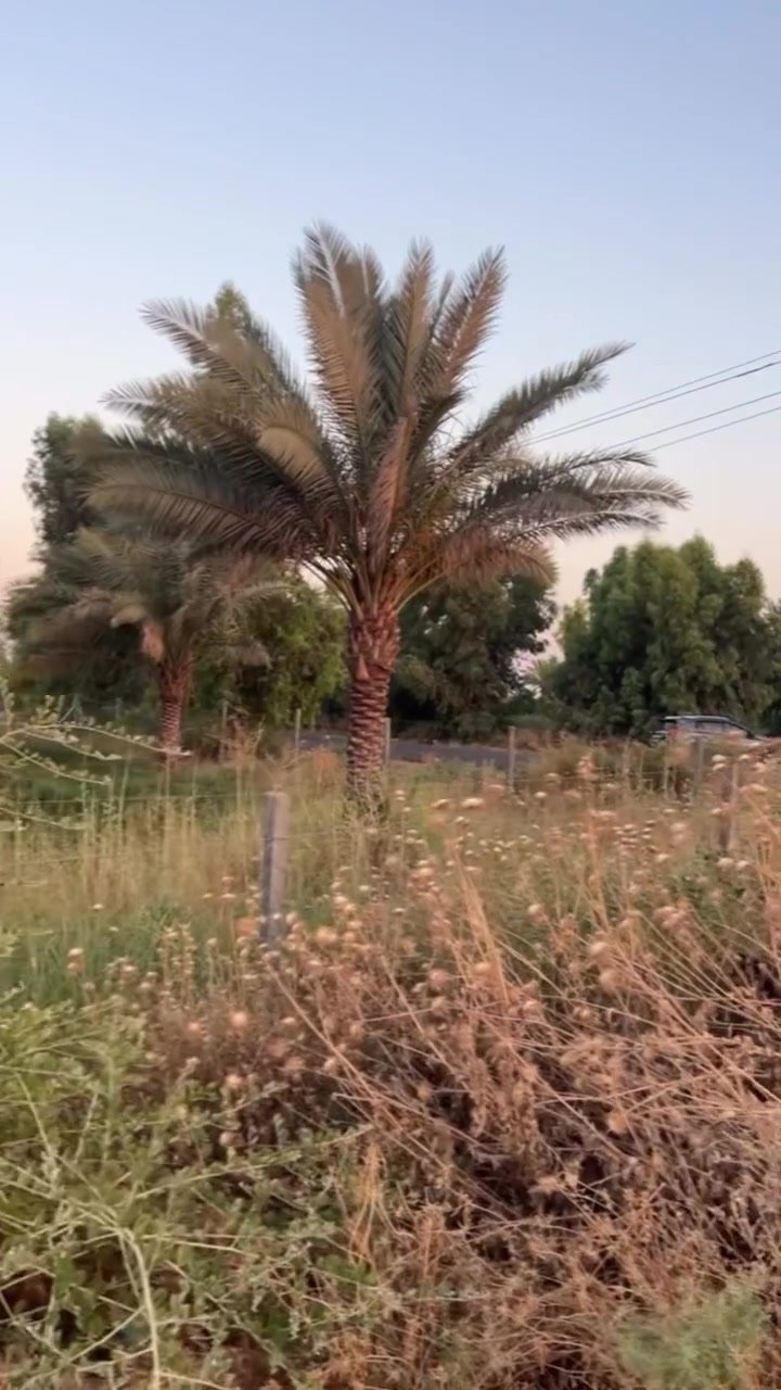 � فرصة مميزة للبيع – أرض زراعية في مركز قضاء الضلوعية 🔥

📍 الموقع: الضلوعية – سنتر المدينة
📐 المساحة: 3 دونم
📏 الواجهة: 300 متر
📏 النزال: 30 متر

✨ تفاصيل الأرض:
✔️ الأرض كاملة على شارع رئيسي
✔️ مسيّجة بالكامل (BRC)
✔️ تتوفر جميع الخدمات (ماء + كهرباء)
✔️ صالحة لمشروع استثماري أو منتجع سياحي

📜 الوضع القانوني:
🔸 دونم وربع طابو زراعي (سند 25)
🔸 الباقي عقد زراعي

💼 فرصة ممتازة للاستثمار بموقع حيوي ومميز

📞 للاستفسار والتواصل:
***********

⸻

🏢 شركة اليشام للاستثمار العقاري
نستقبل جميع عروضكم العقارية:
🔹 أراضٍ زراعية وسكنية
🔹 بيوت جاهزة
🔹 محال تجارية

✨ اليشام… عنوان الثقة والاستثمار المضمون#عقارات#بيع_مباشر
