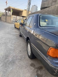 أرنب • ١٩٩٥ • أبي الخصيب