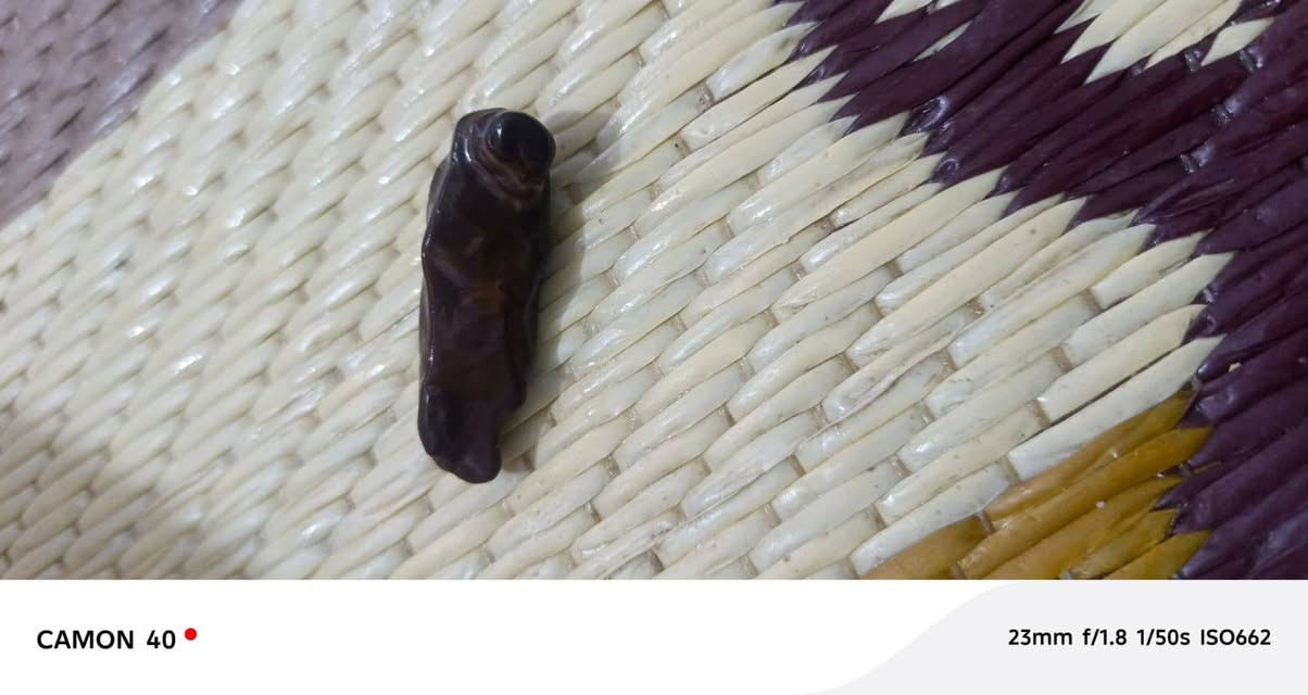حجر ملاكط قيم وخذ مكاني بغداد


**إذا كنت صاحب هذا الإعلان وتريد حذفه لأي سبب، رجاءا أرسل رسالة إلى الدعم الفني**