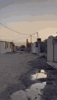 حي البساتين • ١٠٠م • سند اصفر