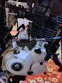 بوكسر جبلي • ٢٠٢٢ • سلف كطع