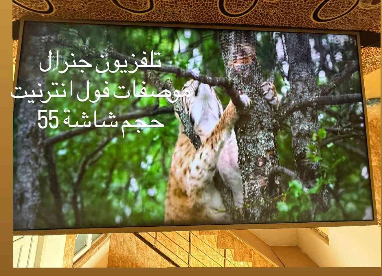 تلفزيونات للبيع
الجي 55 عدد(3)
 
جنرال 55 عدد (1) 

تلفزيونات فول موصفات سمارت 

تواصل *********** وتساب
