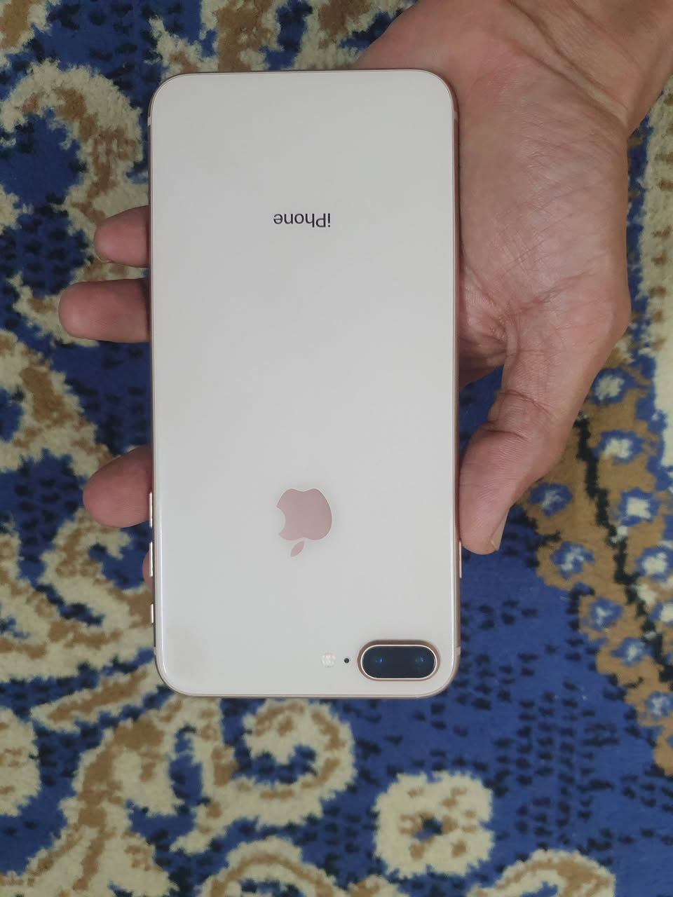 ايفون ٨ بلس الجهاز شغال بدون مشاكل ذاكره ٦٤ والبطاريه ٦٨ فحص شحن تكنيك اتصال 
الجهاز ما مفتوح 
المكان مدينه الصدر 
الشراي خابر ***********
السعر ١٠٠ نهايته
