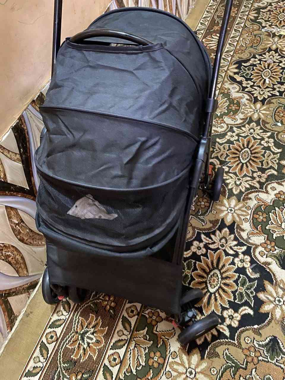 عربانة اطفال بس منام ع اول تم40


**إذا كنت صاحب هذا الإعلان وتريد حذفه لأي سبب، رجاءا أرسل رسالة إلى الدعم الفني**