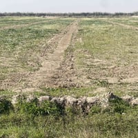 الصويره تقاطع السايلو • ١٠ دونم • طابو زراعي سند ٢٥