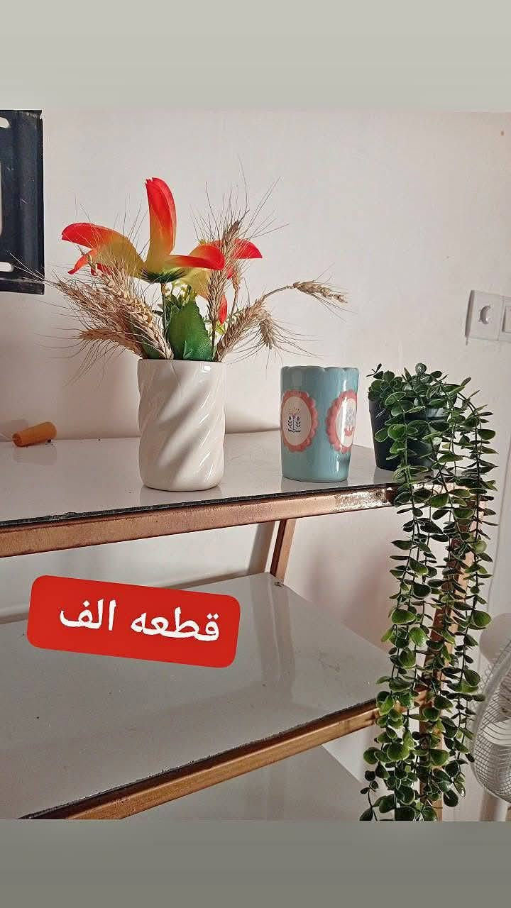 عروض اليوم 💚 
تخفيضات 📢 
يوجد توصيل داخل العزيزيه 🚗


**إذا كنت صاحب هذا الإعلان وتريد حذفه لأي سبب، رجاءا أرسل رسالة إلى الدعم الفني**