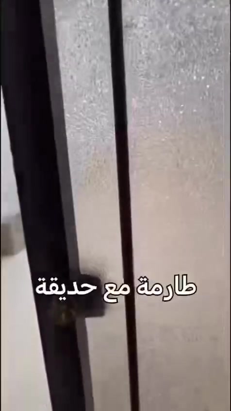 للايجار بيت ارضي جديد مساحة 200م (في منطقة يس خريبط -شارع السناتر  -فرع مطعم ابو شهد)
بناء درجة اولى يحتوي على 2 غرف نوم كبيره -
استقبال -غرفة معيشه -مطبخ بارد -مطبخ حار -2منور _3 صحيات -غرفة غسيل ملابس 
البيت مجهز ب سخان  كبير -2 تانكي ماء كبير RO واساله -2مراوح _ماطور ماء مع بوستر -جبسن بورد وديكورات مع اناره حديثه -سعر الايجار 1 مليون قفل 
للتواصل ***********
