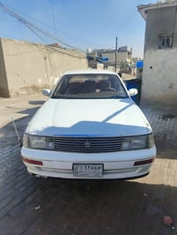 ١٩٩٢ • مشروع الوحده • صبغ خلفي