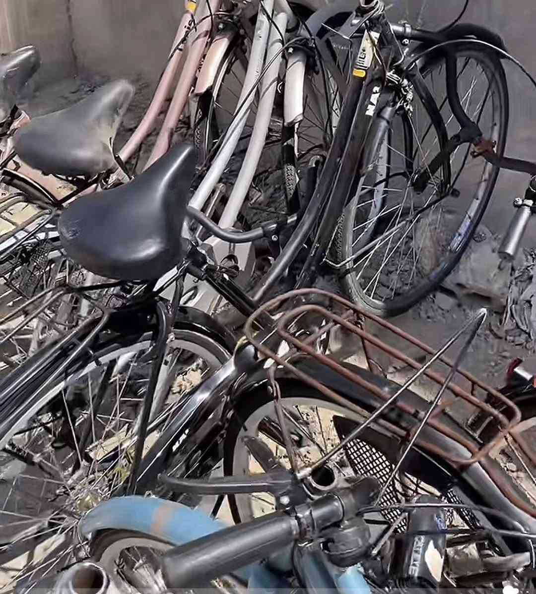 فقط كركوك👍🏻
للبيع او مراوس شركه NA2 مكفول مصارله سبوع من نزلته حاويه موديل 2020 شرط جامرلغات كامل ويا داينمو والشبكه مالتهه والدرع مال دينمو كله غراضه مال حاويه ويا اي نقص مابي برغي مابي نقص حته قفل ويا مال حاويه شراي خاص مراوسه يرهم شركه معروفه ايبي سانتوس كلوف هم يرهم سعر ١٣٠ بي مجال شراي نورنا خاص ولوتي بل🩴


**إذا كنت صاحب هذا الإعلان وتريد حذفه لأي سبب، رجاءا أرسل رسالة إلى الدعم الفني**