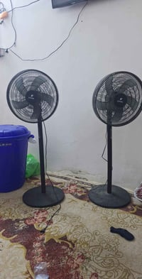 شغالات • نظيفات • ابي الخصيب