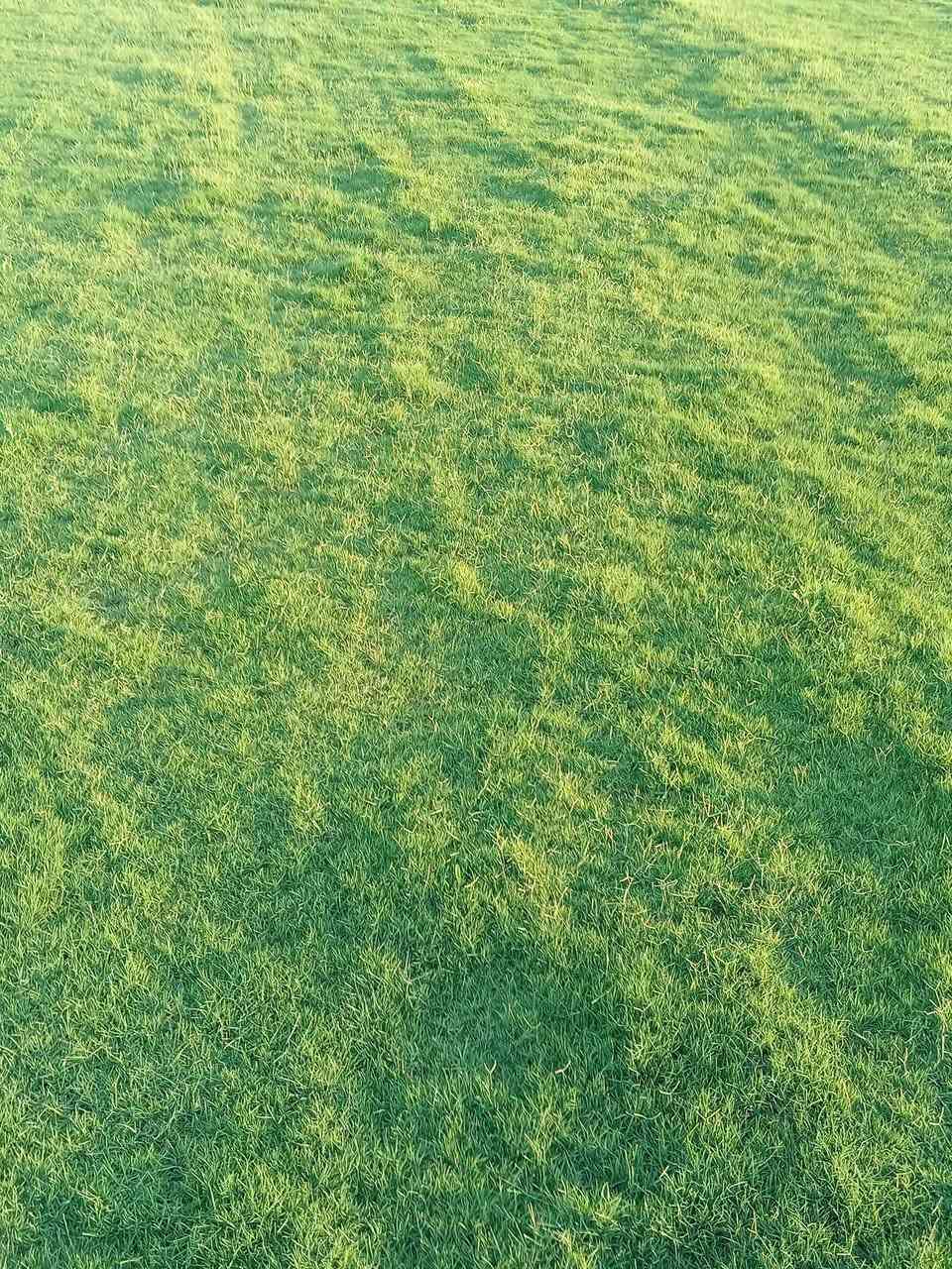 تخفيضات ثيل هندي توصيل لجميع ***********☘️🍀
