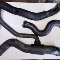 جوانات • أصلي • توصيل محافظات