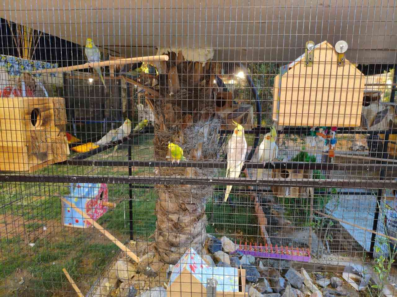 مزرعة رقم 5 في منطقة البوعيثة موثقة بتطبيق أجرلي شركة المصطفى للمسابح

الاثنين / صباحي مسائي
الثلاثاء صباحي مسائي
الاربعاء صباحي مسائي
الخميس صباحي مسائي
الجمعة/ صباحي مسائي
للحجز واتساب/ ***********
