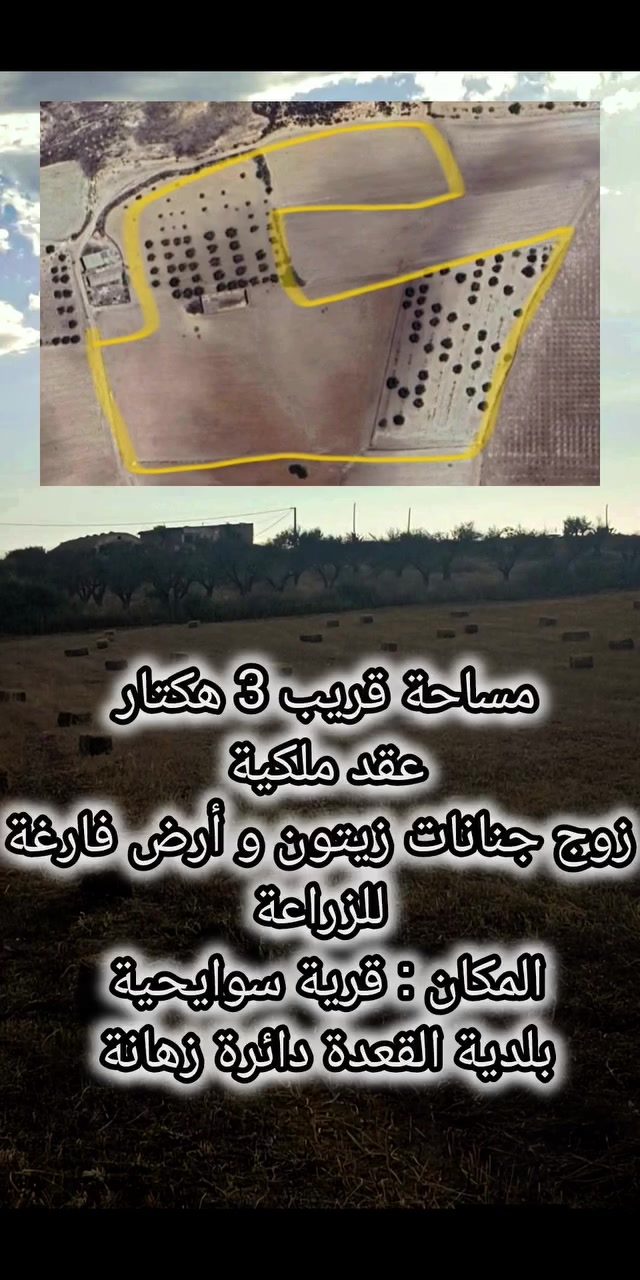 🌿 أرض فلاحية للبيع 🌿
أرض فلاحية للبيع بمساحة تقارب 3 هكتار، بعقد ملكية.
تقع بقرية سوايحية، بلدية القعدة، دائرة زهانة.
الأرض قريبة للطريق، تحتوي على أشجار زيتون (زوج جنانات) مع مساحة فارغة صالحة للزراعة.
متوفر فيها الضوء، ويوجد بئر مردوم.
للاستفسار أكثر يرجى التواصل على الخاص.


**إذا كنت صاحب هذا الإعلان وتريد حذفه لأي سبب، رجاءا أرسل رسالة إلى الدعم الفني**