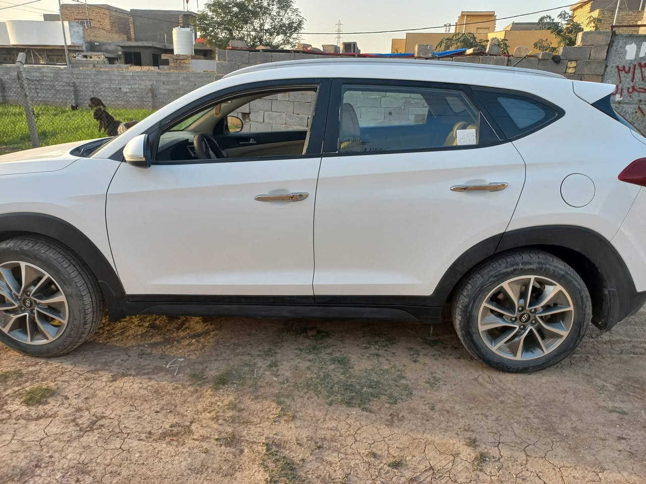 توسان خليجي واسط مديل 18
العنوان الكوت مركز المدينة 
السعر 180
***********
