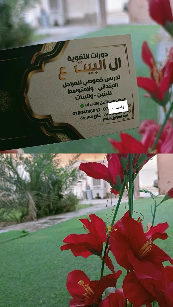 دورات التقوية الصيفية 📝 تعليم اللغة الإنجليزية والعربية والرياضيات 📝 وجميع المواد 📝 الطلاب والطالبات الناجحين 📝🪬🎓
التسجيل مستمر للدور الثاني 
طلاب احجزو مقاعد دور ثاني للثالث متوسط دخول شامل 
تواصل واتساب ***********
